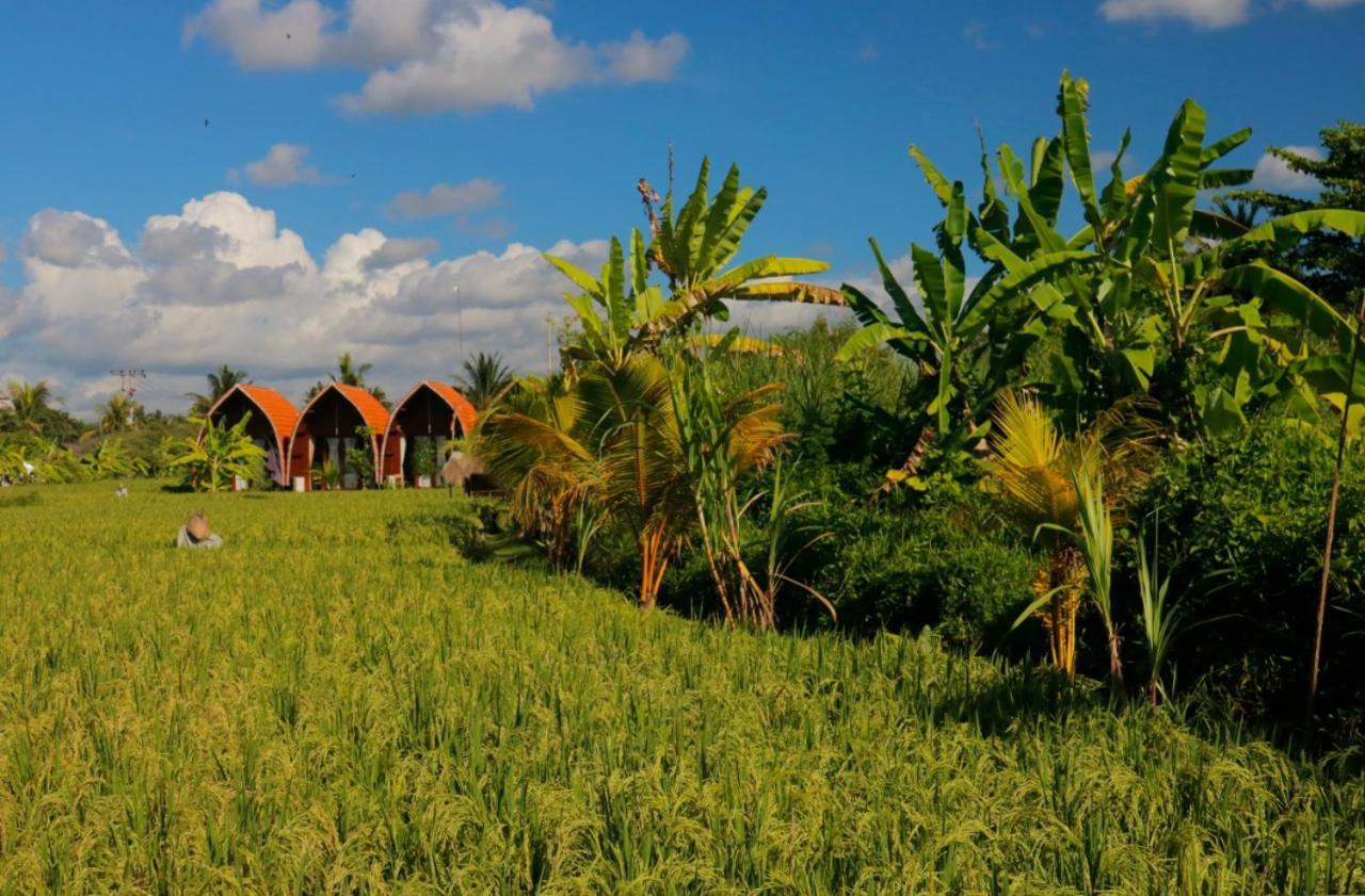 Keramas Surf Camp Hotel ภายนอก รูปภาพ