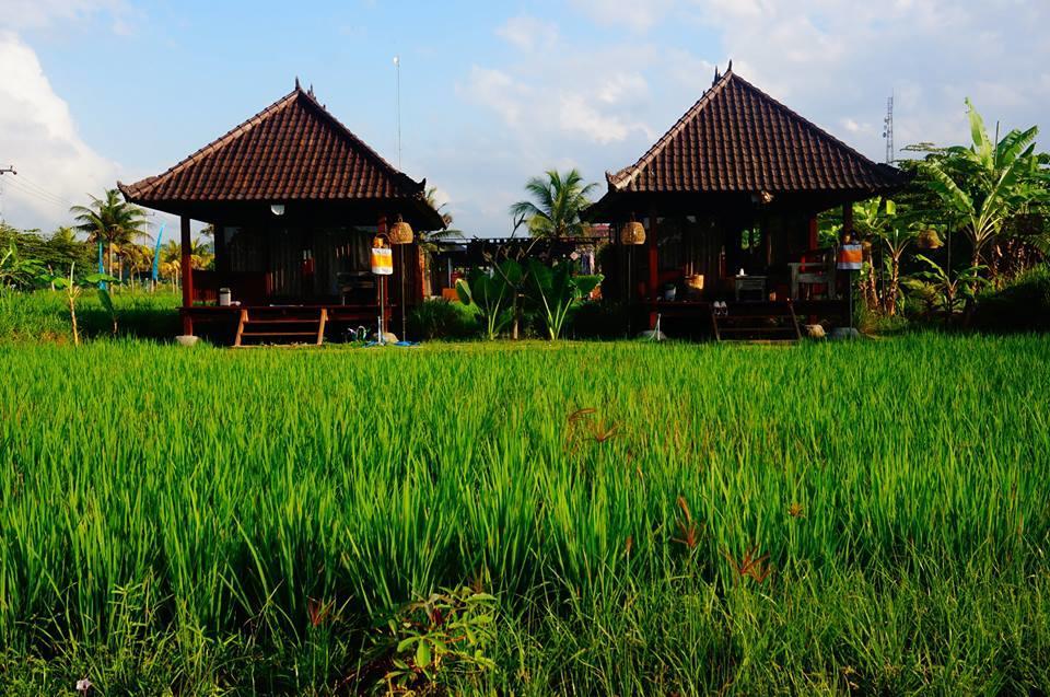 Keramas Surf Camp Hotel ภายนอก รูปภาพ