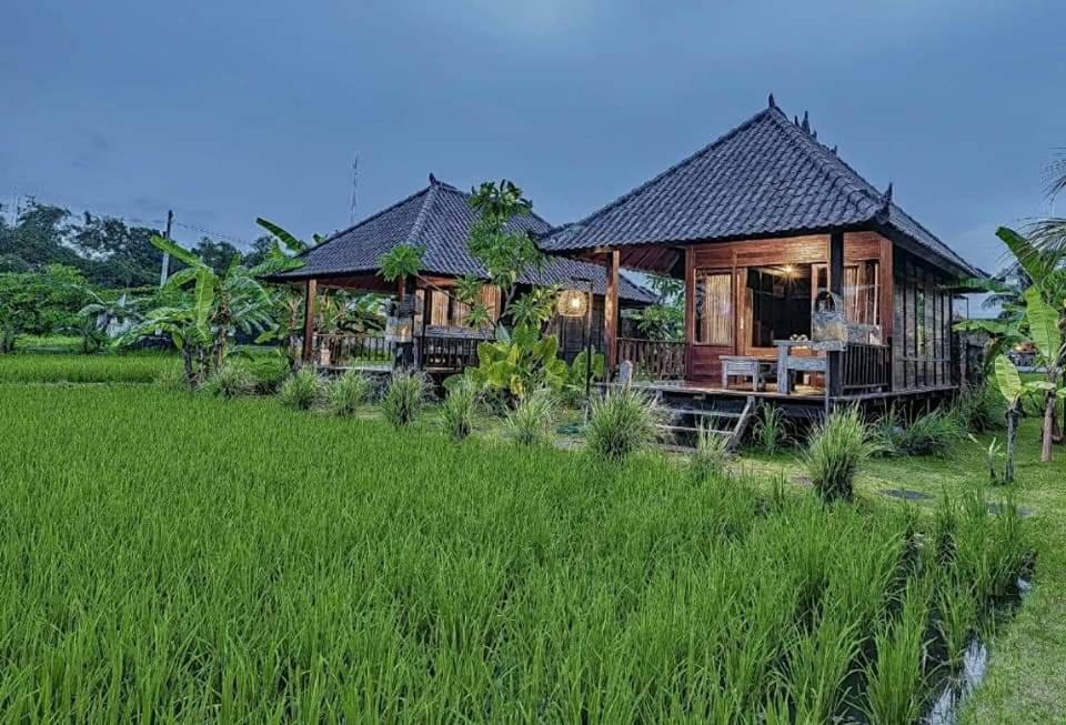 Keramas Surf Camp Hotel ภายนอก รูปภาพ